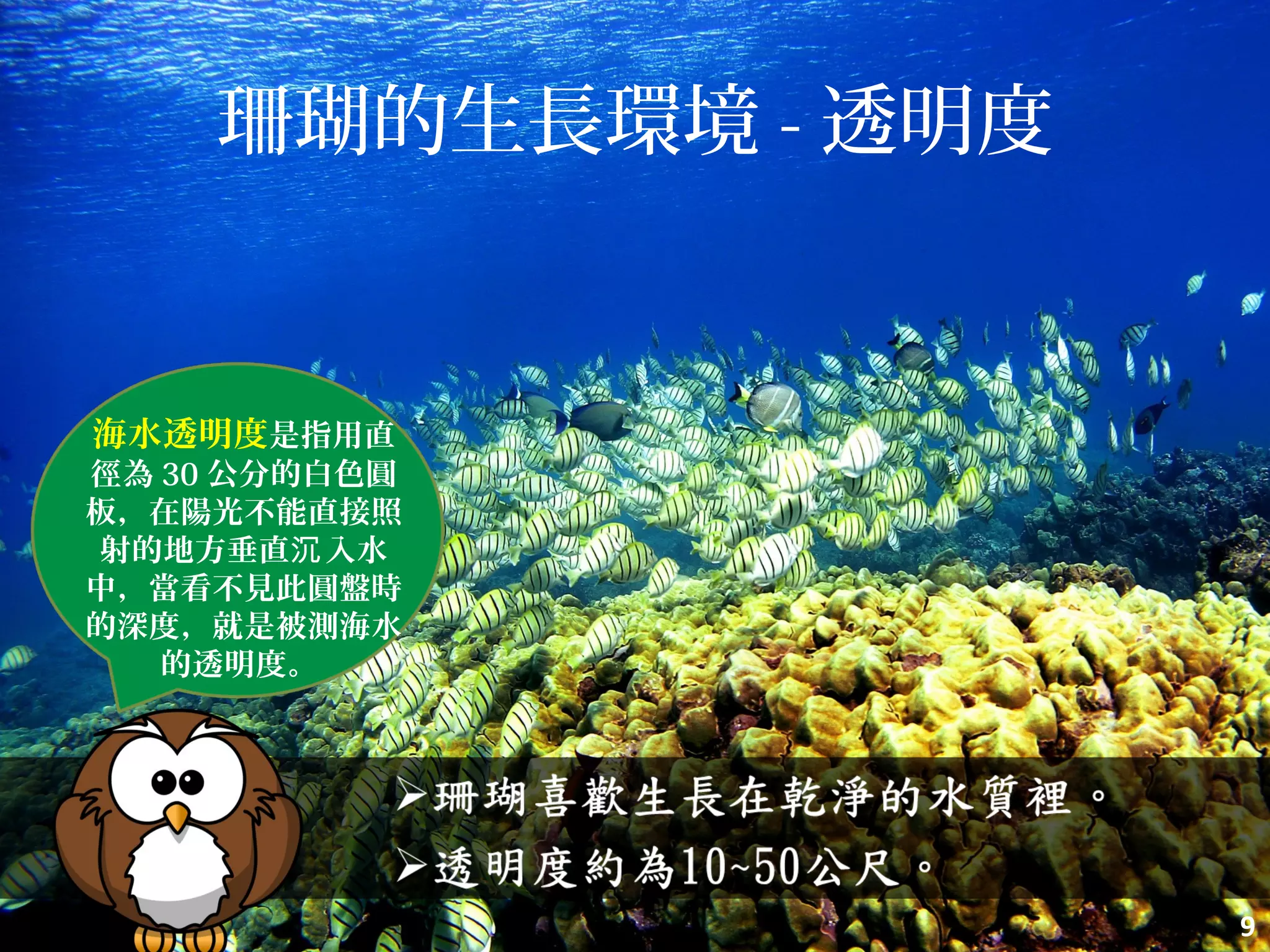 珊瑚的生長環境 - 透明度
9
海水透明度是指用直
徑為 30 公分的白色圓
板，在陽光不能直接照
射的地方垂直 入水沉
中，當看不見此圓盤時
的深度，就是被測海水
的透明度。
 