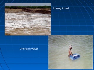 Liming in soil
Liming in water
 