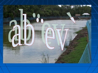 1. Pond and nursery preparation