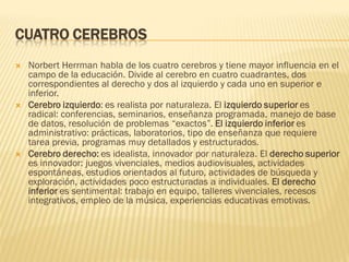 CUATRO CEREBROS
   Norbert Herrman habla de los cuatro cerebros y tiene mayor influencia en el
    campo de la educación. Divide al cerebro en cuatro cuadrantes, dos
    correspondientes al derecho y dos al izquierdo y cada uno en superior e
    inferior.
   Cerebro izquierdo: es realista por naturaleza. El izquierdo superior es
    radical: conferencias, seminarios, enseñanza programada, manejo de base
    de datos, resolución de problemas “exactos”. El izquierdo inferior es
    administrativo: prácticas, laboratorios, tipo de enseñanza que requiere
    tarea previa, programas muy detallados y estructurados.
   Cerebro derecho: es idealista, innovador por naturaleza. El derecho superior
    es innovador: juegos vivenciales, medios audiovisuales, actividades
    espontáneas, estudios orientados al futuro, actividades de búsqueda y
    exploración, actividades poco estructuradas a individuales. El derecho
    inferior es sentimental: trabajo en equipo, talleres vivenciales, recesos
    integrativos, empleo de la música, experiencias educativas emotivas.
 