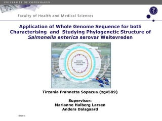 Application of Whole Genome Sequence for both
Characterising and Studying Phylogenetic Structure of
Salmonella enterica serovar Weltevreden
Slide 1
Tirzania Frannetta Sopacua (zgv589)
Supervisor:
Marianne Halberg Larsen
Anders Dalsgaard
 