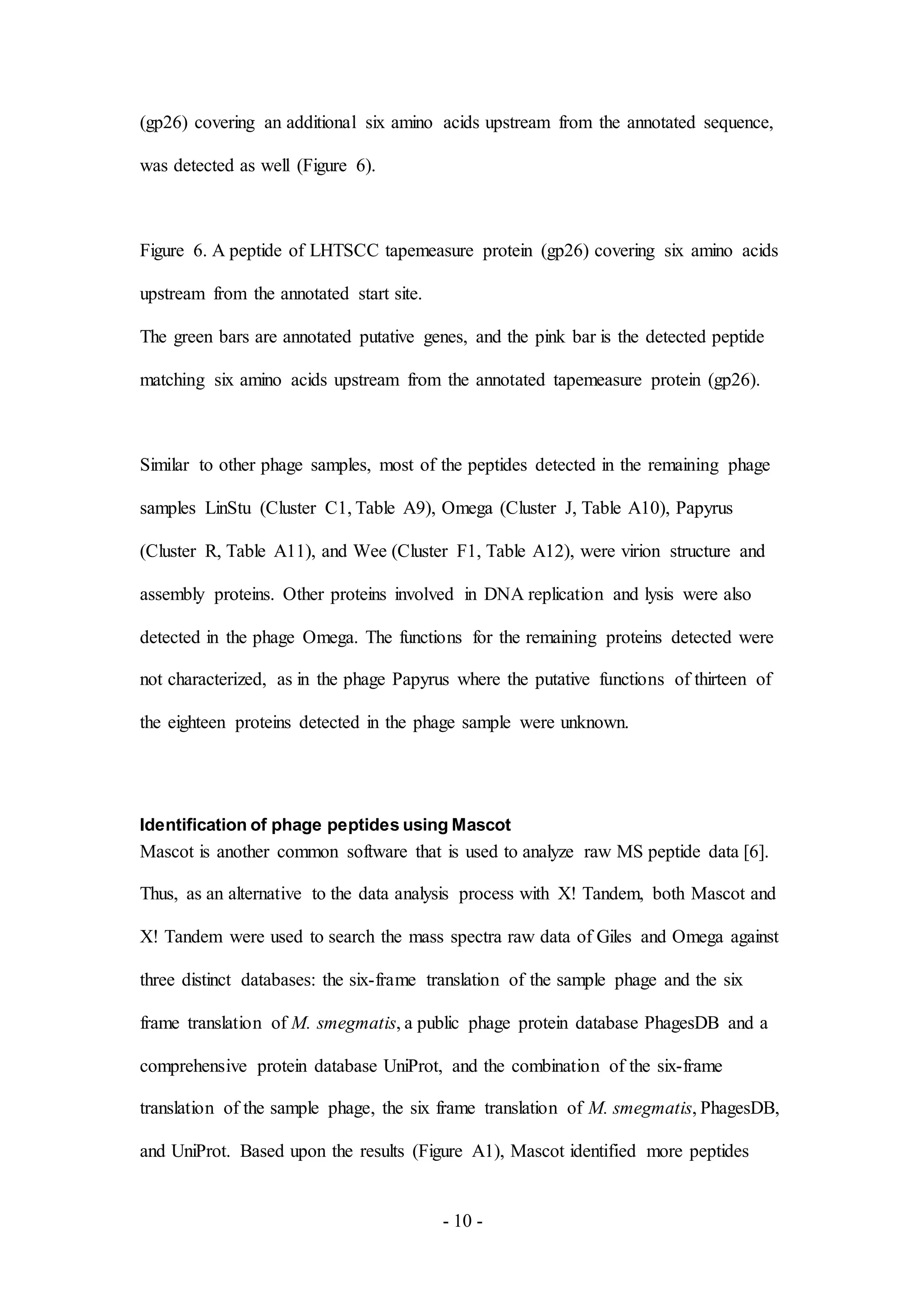 - 10 -
(gp26) covering an additional six amino acids upstream from the annotated sequence,
was detected as well (Figure 6).
Figure 6. A peptide of LHTSCC tapemeasure protein (gp26) covering six amino acids
upstream from the annotated start site.
The green bars are annotated putative genes, and the pink bar is the detected peptide
matching six amino acids upstream from the annotated tapemeasure protein (gp26).
Similar to other phage samples, most of the peptides detected in the remaining phage
samples LinStu (Cluster C1, Table A9), Omega (Cluster J, Table A10), Papyrus
(Cluster R, Table A11), and Wee (Cluster F1, Table A12), were virion structure and
assembly proteins. Other proteins involved in DNA replication and lysis were also
detected in the phage Omega. The functions for the remaining proteins detected were
not characterized, as in the phage Papyrus where the putative functions of thirteen of
the eighteen proteins detected in the phage sample were unknown.
Identification of phage peptides using Mascot
Mascot is another common software that is used to analyze raw MS peptide data [6].
Thus, as an alternative to the data analysis process with X! Tandem, both Mascot and
X! Tandem were used to search the mass spectra raw data of Giles and Omega against
three distinct databases: the six-frame translation of the sample phage and the six
frame translation of M. smegmatis, a public phage protein database PhagesDB and a
comprehensive protein database UniProt, and the combination of the six-frame
translation of the sample phage, the six frame translation of M. smegmatis, PhagesDB,
and UniProt. Based upon the results (Figure A1), Mascot identified more peptides
 