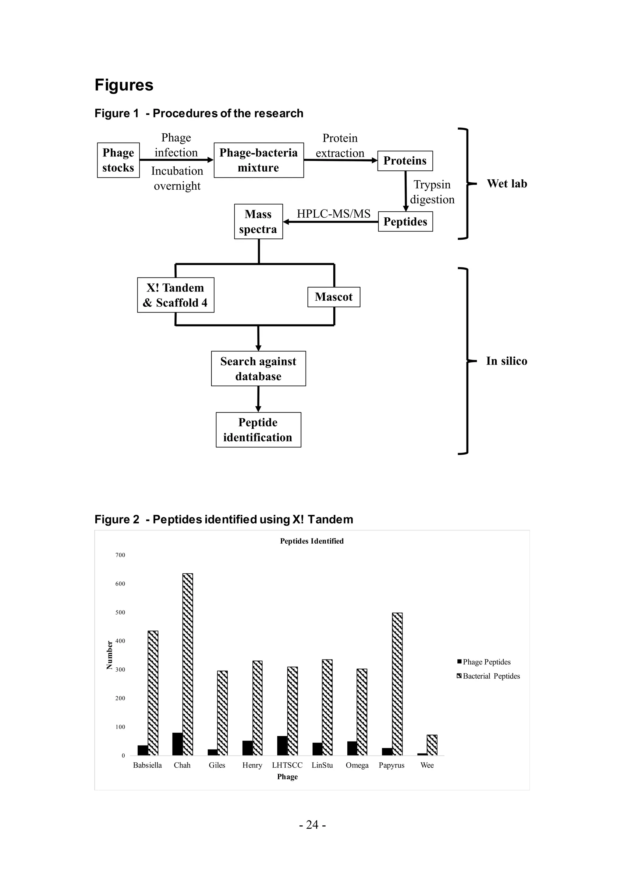 - 24 -
Figures
Figure 1 - Procedures of the research
Figure 2 - Peptides identified using X! Tandem
Phage
stocks
Phage
infection Phage-bacteria
mixture
Protein
extraction
Proteins
Trypsin
digestion
Peptides
HPLC-MS/MSMass
spectra
X! Tandem
& Scaffold 4 Mascot
Search against
database
Peptide
identification
Incubation
overnight Wet lab
In silico
0
100
200
300
400
500
600
700
Babsiella Chah Giles Henry LHTSCC LinStu Omega Papyrus Wee
Number
Phage
Peptides Identified
Phage Peptides
Bacterial Peptides
 