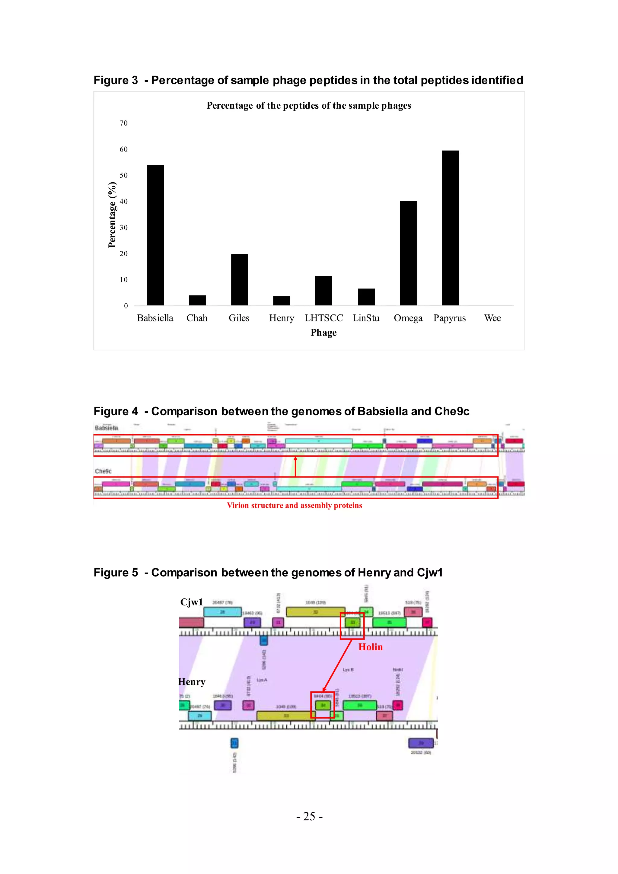 - 25 -
Figure 3 - Percentage of sample phage peptides in the total peptides identified
Figure 4 - Comparison between the genomes of Babsiella and Che9c
Figure 5 - Comparison between the genomes of Henry and Cjw1
0
10
20
30
40
50
60
70
Babsiella Chah Giles Henry LHTSCC LinStu Omega Papyrus Wee
Percentage(%)
Phage
Percentage of the peptides of the sample phages
Virion structure and assembly proteins
Cjw1
Henry
Holin
 