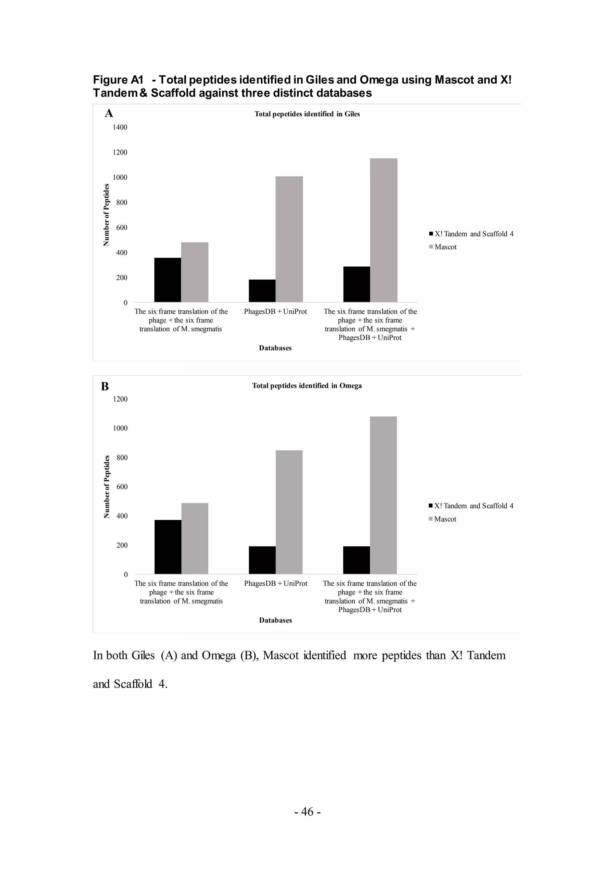 - 46 -
Figure A1 - Total peptides identified in Giles and Omega using Mascot and X!
Tandem& Scaffold against three distinct databases
In both Giles (A) and Omega (B), Mascot identified more peptides than X! Tandem
and Scaffold 4.
0
200
400
600
800
1000
1200
1400
The six frame translation of the
phage + the six frame
translation of M. smegmatis
PhagesDB + UniProt The six frame translation of the
phage + the six frame
translation of M. smegmatis +
PhagesDB + UniProt
NumberofPeptides
Databases
Total pepetides identified in Giles
X! Tandem and Scaffold 4
Mascot
0
200
400
600
800
1000
1200
The six frame translation of the
phage + the six frame
translation of M. smegmatis
PhagesDB + UniProt The six frame translation of the
phage + the six frame
translation of M. smegmatis +
PhagesDB + UniProt
NumberofPeptides
Databases
Total peptides identified in Omega
X! Tandem and Scaffold 4
Mascot
A
B
 