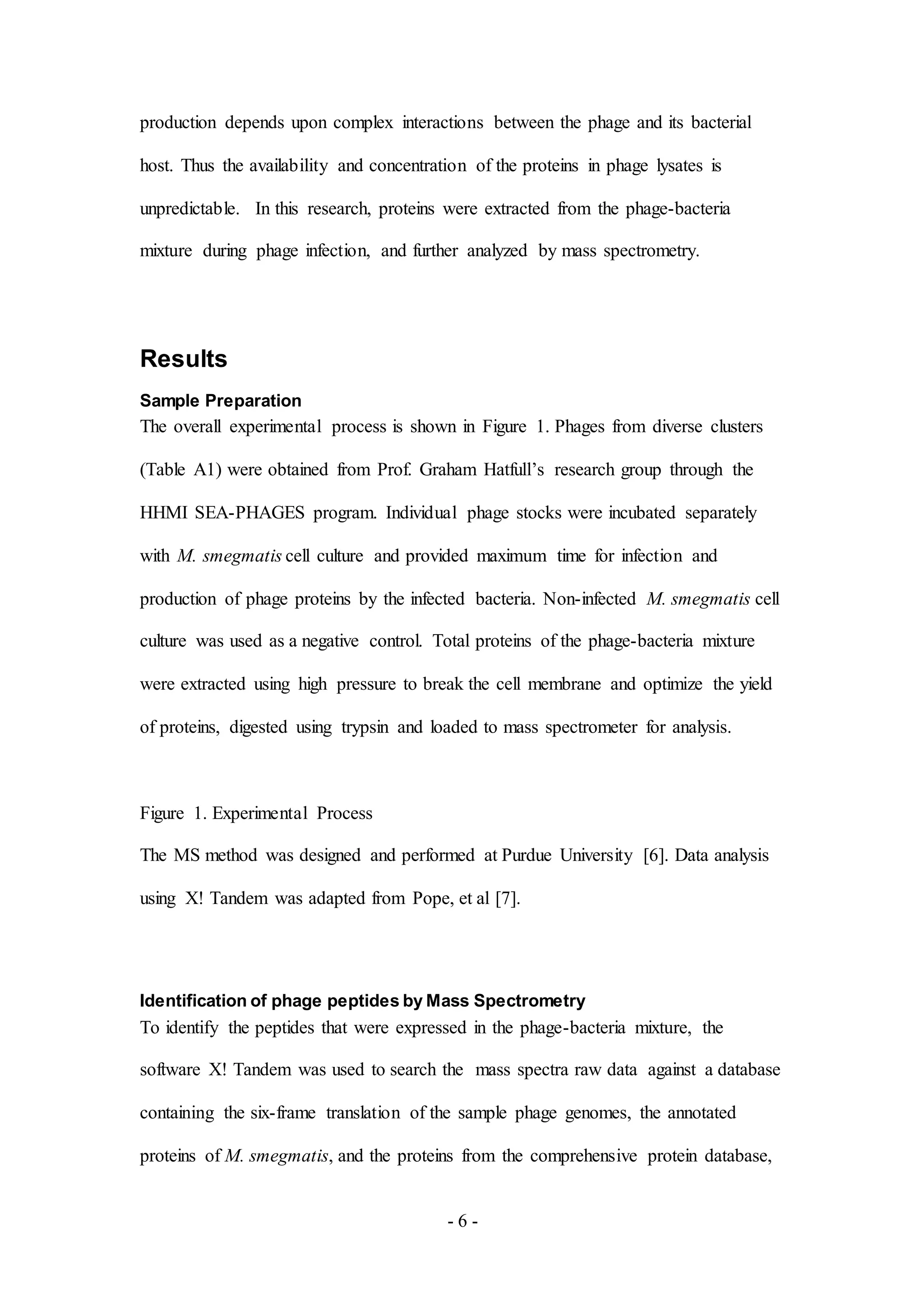 - 6 -
production depends upon complex interactions between the phage and its bacterial
host. Thus the availability and concentration of the proteins in phage lysates is
unpredictable. In this research, proteins were extracted from the phage-bacteria
mixture during phage infection, and further analyzed by mass spectrometry.
Results
Sample Preparation
The overall experimental process is shown in Figure 1. Phages from diverse clusters
(Table A1) were obtained from Prof. Graham Hatfull’s research group through the
HHMI SEA-PHAGES program. Individual phage stocks were incubated separately
with M. smegmatis cell culture and provided maximum time for infection and
production of phage proteins by the infected bacteria. Non-infected M. smegmatis cell
culture was used as a negative control. Total proteins of the phage-bacteria mixture
were extracted using high pressure to break the cell membrane and optimize the yield
of proteins, digested using trypsin and loaded to mass spectrometer for analysis.
Figure 1. Experimental Process
The MS method was designed and performed at Purdue University [6]. Data analysis
using X! Tandem was adapted from Pope, et al [7].
Identification of phage peptides by Mass Spectrometry
To identify the peptides that were expressed in the phage-bacteria mixture, the
software X! Tandem was used to search the mass spectra raw data against a database
containing the six-frame translation of the sample phage genomes, the annotated
proteins of M. smegmatis, and the proteins from the comprehensive protein database,
 