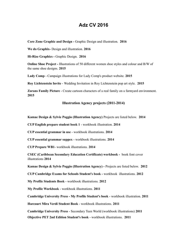work experience | PDF