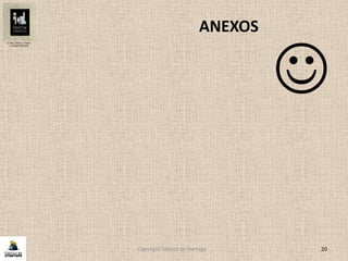 Copyright Fábrica de Startups 20
ANEXOS

 