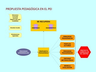 PROPUESTA PEDAGÓGICA EN EL PEI
     Estructura
     curricular
      nacional
  Objetivo del nivel
     modalidad
                                   SE RECUPERA


  Estudios locales            IDENTIDAD     DIAGNÓSTICO



   Orientaciones
    regionales
                                                           PRINCIPIOS
                                                          PEDAGÓGICOS


                                                            PERFILES
                                                            ACTORES


                                                                          PROYECTO
                PROCESOS             PROPUESTA             PROCESOS
                                                                         CURRICULAR
               APRENDIZAJES          PEDAGÓGICA           PEDAGÓGICOS
                                                                          DE CENTRO


                                                            ENFOQUE
                                                          METODOLÓGICO


                                                             MODELO
                                                           EVALUACIÓN
 