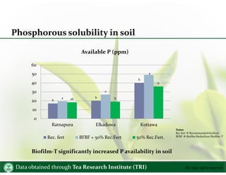 Y%S,xld f;am¾fhaIKwdh;kh All copy rights reserved
Phosphorous solubility in soil
b
b
b
a
a
a
ab b
b
0
10
20
30
40
50
60
Ra...