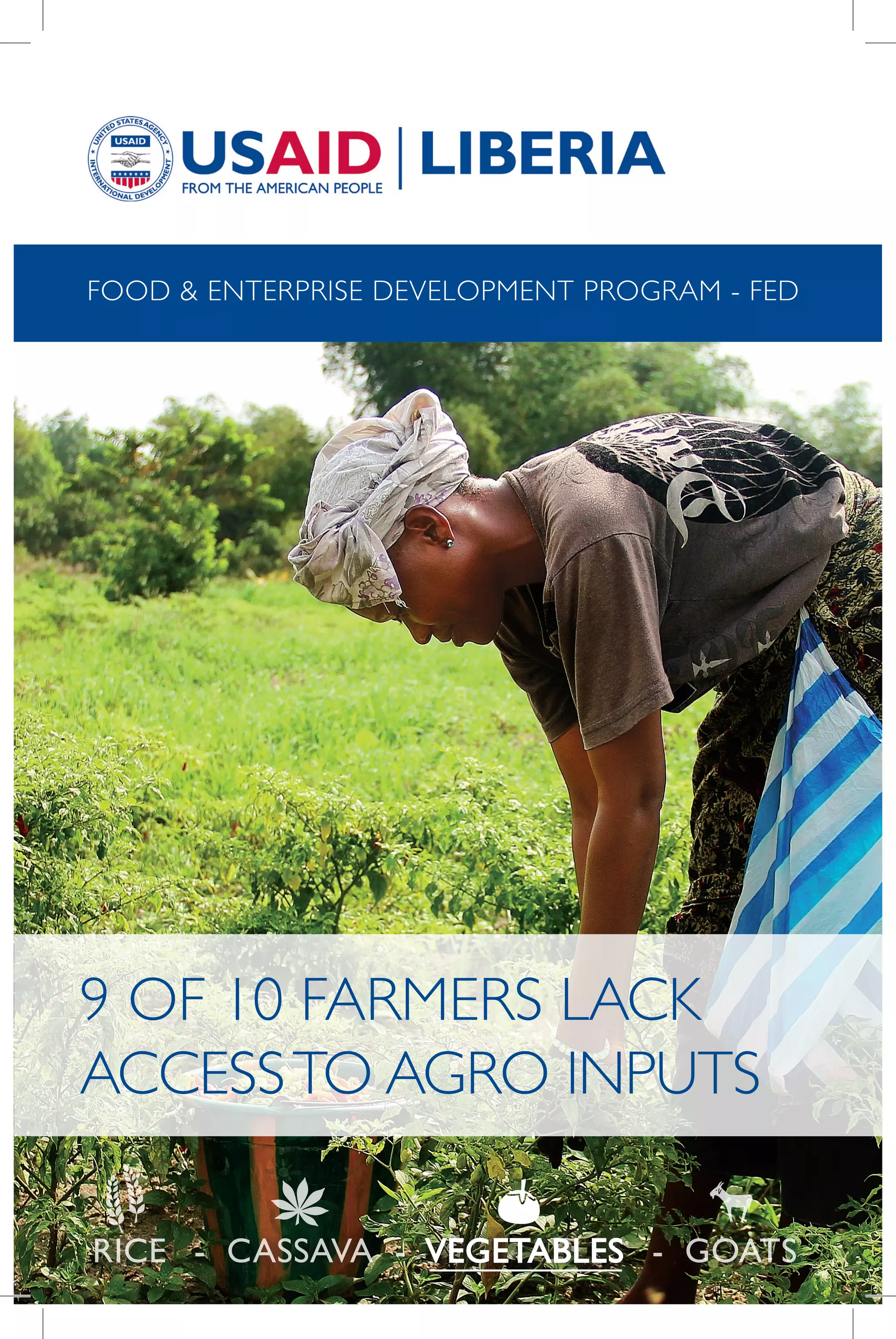 VEGETABLES GOATSRICE CASSAVA- - -
9 OF 10 FARMERS LACK
ACCESSTO AGRO INPUTS
FOOD & ENTERPRISE DEVELOPMENT PROGRAM - FED
 