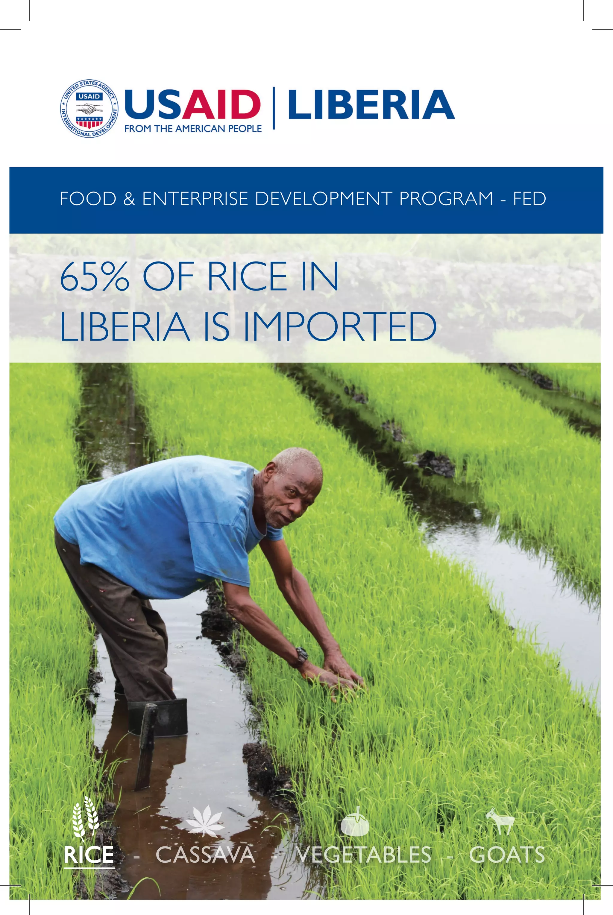 VEGETABLES GOATSRICE CASSAVA- - -
65% OF RICE IN
LIBERIA IS IMPORTED
FOOD & ENTERPRISE DEVELOPMENT PROGRAM - FED
 