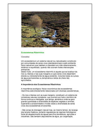 Ecossistemas Ribeirinhos
Conceitos
Um ecossistema é um sistema natural (ou naturalizado) constituído
por comunidades de seres vivos (plantas/animais) e pelo ambiente
físico natural em que habitam e coexistem em inter-relacionamento
dinâmico e equilibrado, quando não ocorram fortes intervenções
antrópicas.
Deste modo, um ecossistema ribeirinho é aquele que se localiza nos
rios ou ribeiras e nas suas margens e cujos seres vivos dependem
directa ou indirectamente da água existente, incluindo todos os cursos
de água permanentes ou temporários e leitos de cheia não
agricultados.
A Importância dos Ecossistemas Ribeirinhos
A importância ecológica, física e económica dos ecossistemas
ribeirinhos está directamente relacionada com diversas características;
- Os rios e ribeiras com as suas margens, constituem um sistema de
corredores naturais complexos, que ocorrem por todo o território de
forma contínua e interligada, que abriga, alimenta e onde se gera
grande quantidade e diversidade de espécies vegetais e animais,
superando a produtividade e muitas vezes a diversidade de seres
vivos dos ecossistemas envolventes.
- São zonas de drenagem natural mas, ao mesmo tempo, de recarga
dos lençóis freáticos, portanto reguladores de regimes hidrológicos,
fonte de abastecimento de águas para fins domésticos, agrícolas e
industriais. São também depuradores da água, por oxigenação,
 