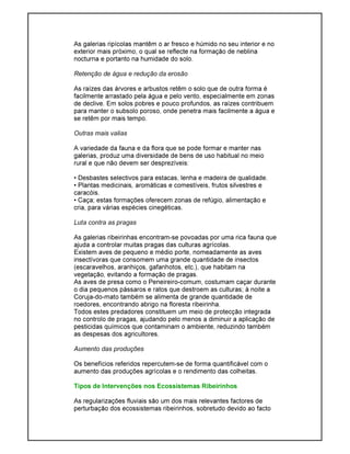 As galerias ripícolas mantêm o ar fresco e húmido no seu interior e no
exterior mais próximo, o qual se reflecte na formação de neblina
nocturna e portanto na humidade do solo.
Retenção de água e redução da erosão
As raízes das árvores e arbustos retêm o solo que de outra forma é
facilmente arrastado pela água e pelo vento, especialmente em zonas
de declive. Em solos pobres e pouco profundos, as raízes contribuem
para manter o subsolo poroso, onde penetra mais facilmente a água e
se retêm por mais tempo.
Outras mais valias
A variedade da fauna e da flora que se pode formar e manter nas
galerias, produz uma diversidade de bens de uso habitual no meio
rural e que não devem ser desprezíveis:
• Desbastes selectivos para estacas, lenha e madeira de qualidade.
• Plantas medicinais, aromáticas e comestíveis, frutos silvestres e
caracóis.
• Caça; estas formações oferecem zonas de refúgio, alimentação e
cria, para várias espécies cinegéticas.
Luta contra as pragas
As galerias ribeirinhas encontram-se povoadas por uma rica fauna que
ajuda a controlar muitas pragas das culturas agrícolas.
Existem aves de pequeno e médio porte, nomeadamente as aves
insectívoras que consomem uma grande quantidade de insectos
(escaravelhos, aranhiços, gafanhotos, etc.), que habitam na
vegetação, evitando a formação de pragas.
As aves de presa como o Peneireiro-comum, costumam caçar durante
o dia pequenos pássaros e ratos que destroem as culturas; à noite a
Coruja-do-mato também se alimenta de grande quantidade de
roedores, encontrando abrigo na floresta ribeirinha.
Todos estes predadores constituem um meio de protecção integrada
no controlo de pragas, ajudando pelo menos a diminuir a aplicação de
pesticidas químicos que contaminam o ambiente, reduzindo também
as despesas dos agricultores.
Aumento das produções
Os benefícios referidos repercutem-se de forma quantificável com o
aumento das produções agrícolas e o rendimento das colheitas.
Tipos de Intervenções nos Ecossistemas Ribeirinhos
As regularizações fluviais são um dos mais relevantes factores de
perturbação dos ecossistemas ribeirinhos, sobretudo devido ao facto
 