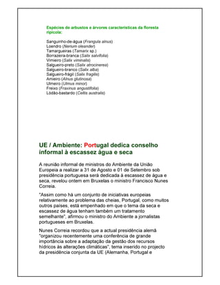 Espécies de arbustos e árvores características da floresta
ripícola:
Sanguinho-de-água (Frangula alnus)
Loendro (Nerium oleander)
Tamargueiras (Tamarix sp.)
Borrazeira-branca (Salix salvifolia)
Vimieiro (Salix viminalis)
Salgueiro-preto (Salix atrocinerea)
Salgueiro-branco (Salix alba)
Salgueiro-frágil (Salix fragilis)
Amieiro (Alnus glutinosa)
Ulmeiro (Ulmus minor)
Freixo (Fraxinus angustifolia)
Lódão-bastardo (Celtis australis)
UE / Ambiente: Portugal dedica conselho
informal à escassez água e seca
A reunião informal de ministros do Ambiente da União
Europeia a realizar a 31 de Agosto e 01 de Setembro sob
presidência portuguesa será dedicada à escassez de água e
seca, revelou ontem em Bruxelas o ministro Francisco Nunes
Correia.
"Assim como há um conjunto de iniciativas europeias
relativamente ao problema das cheias, Portugal, como muitos
outros países, está empenhado em que o tema da seca e
escassez de água tenham também um tratamento
semelhante", afirmou o ministro do Ambiente a jornalistas
portugueses em Bruxelas.
Nunes Correia recordou que a actual presidência alemã
"organizou recentemente uma conferência de grande
importância sobre a adaptação da gestão dos recursos
hídricos às alterações climáticas", tema inserido no projecto
da presidência conjunta da UE (Alemanha, Portugal e
 