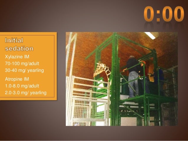 Giraffe Anesthesia PresentationEmily Hall2