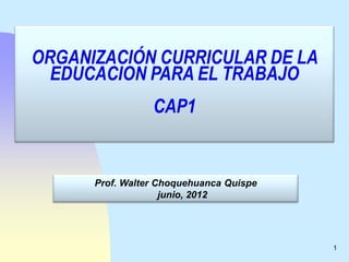 ORGANIZACIÓN CURRICULAR DE LA
  EDUCACION PARA EL TRABAJO
                 CAP1


      Prof. Walter Choquehuanca Quispe
                    junio, 2012




                                         1
 