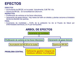 EFECTOS
DIRECTOS
• Acumulación de RR.SS. en la ciudad : Actualmente, 0,86 TM / día.
• Quema de RR.SS. : En la localidad de Catunrumi.
INDIRECTOS
• Proliferación de vectores en los focos infecciosos.
• Generación de gases tóxicos : Hay restos de hollín en árboles y plantas cercanos al botadero
  donde se efectúan las quemas.
FINAL
• Incremento de morbilidad : 13,9% de la población ha ido al Puesto de Salud por
  enfermedades diarreicas y 6,7% por bronquiales.


                            ARBOL DE EFECTOS
                                Incremento de morbilidad


Proliferación de vectores en los focos infecciosos         Generación de gases tóxicos

      Acumulación de RR.SS en la ciudad                          Quema de RR.SS.



PROBLEMA CENTRAL             Deficiente gestión integral de
                             residuos sólidos municipales
 