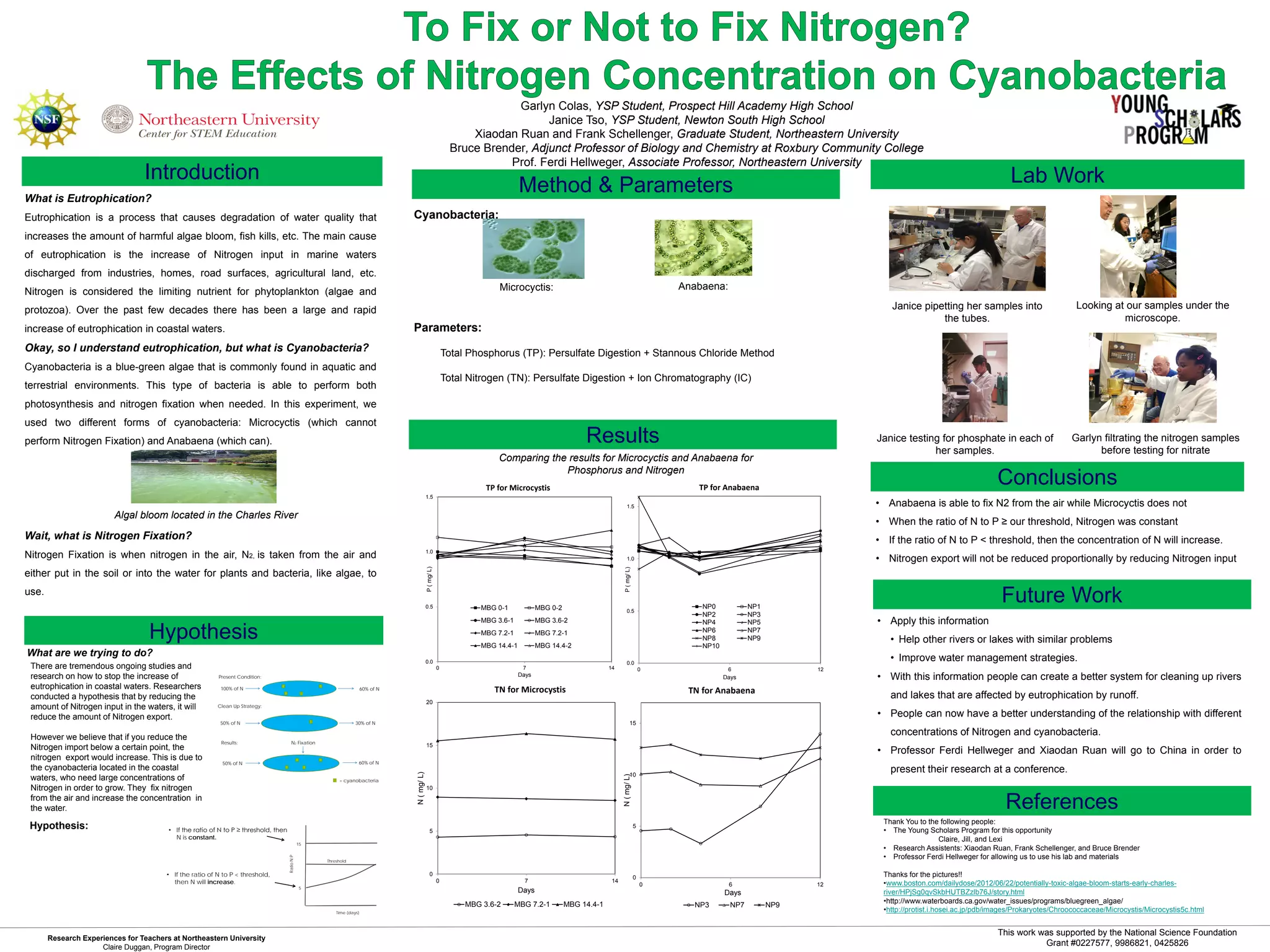 Hellweger - Nitrogen Fixation in Cyanobacteria | PPT