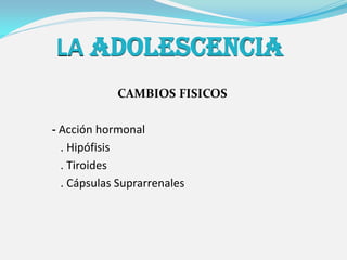 LA ADOLESCENCIA
            CAMBIOS FISICOS

- Acción hormonal
  . Hipófisis
  . Tiroides
  . Cápsulas Suprarrenales
 