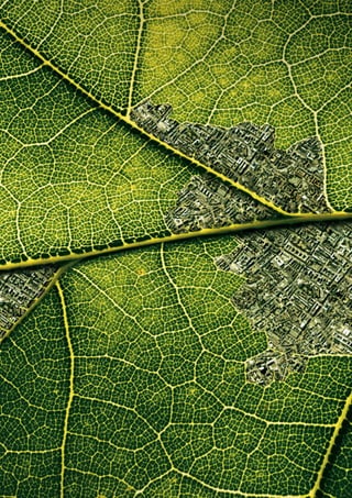 Mystery ปริศนาที่กำลังรอการพิสูจน์