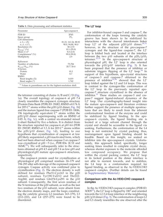 the tetramer consisting of chains A/B and C/D (Fig.
1a). The overall topology of caspase-6 at pH 7.4
closely resembles the caspase-6 zymogen structure
[Protein Data Bank (PDB) ID: 3NR2; RMSD of 0.74 Å
for 205 Cα
atoms within the p20/p10 dimer; Fig. 1b]
and the mature ligand-free caspase-7 (PDB ID: 1K86;
196 topologically equivalent Cα
atoms within the
p20/p10 dimer superimposing with an RMSD of
0.85 Å; Fig. 1c), with a central six-stranded mixed
β-sheet flanked by five α-helices. It is distinct from
the structure reported for caspase-6 at pH 4.6 (PDB
ID: 2WDP; RMSD of 3.3 Å for 203 Cα
atoms within
the p20/p10 dimer; Fig. 1d), leading to our
hypothesis that crystallization of caspase-6 at low
pH likely sequestered a pH-inactivated form, which
had not been observed when caspase-3 or caspase-7
was crystallized at pH b5 (i.e., PDB IDs: 2C1E and
1KMC29
). We will subsequently refer to the struc-
tures obtained at pH 4.5 and pH 7.4 as low-pH and
physiological-pH mature apo-caspase-6 structures,
respectively.
The caspase-6 protein used for crystallization at
physiological pH comprised residues 24–179 and
194–293 after self-cleavage of the expressed caspase-6
zymogen. Caspase activity was confirmed prior to
crystallization (Fig. 2). The electron density is well
defined for residues Phe31-Cys163 in the p20
subunit, residues Tyr198-Val212 and Thr222-
Arg260, and residues Gln274-Lys291 in the p10
subunit. Consequently, the first seven residues of
the N-terminus of the p20 subunit, as well as the last
two residues of the p10 subunit, were absent from
the electron density maps, and the loops constitut-
ing the catalytic grooves L2 (residues 163–179), L3
(212–222), and L4 (257–275) were found to be
disordered.
The L2′ loop
For inhibitor-bound caspase-3 and caspase-7, the
conformation of the loops forming the catalytic
groove has been shown to be stabilized by
interactions with the cleaved interdomain linker
loop L2′ of the adjacent p20/p10 dimer;30,31
however, in the structure of the pro-caspase-7
zymogen and the ligand-free caspase-7, the L2′
loop is folded back and located at the interface
between the two p10 subunits of the p202/p102
tetramer.32,33
In the apo-caspase-6 structure at
physiological pH, the L2′ loop is also oriented
towards the p10/p10′ interface (Fig. 3). It has
been proposed that the presence of inhibitor or
substrate triggers flipping of the L2′ loop.34
In
support of this hypothesis, apo-crystal structures
of caspase-3 and caspase-7 obtained in the
presence of inhibitor35,36
showed that the L2′
loop folded against the L2 and L4 loops. This was
in contrast to the zymogen-like conformation of
the L2′ loop in the previously reported apo-
caspase-7 structure crystallized in the absence of
inhibitor.33
These studies on caspase-3 and cas-
pase-7 suggest ligand-induced dynamics of the
L2′ loop. Our crystallography-based insight into
the mature apo-caspase-6 and literature evidence
further support the presence of multiple apostruc-
tures that are likely to result from the inherent
conformational freedom of the enzyme and could
be stabilized by ligand binding. In the apo-
caspase-6 crystals, the ligand binding site is
located at a large solvent channel through the
crystal and should be accessible to the ligand via
soaking. Furthermore, the conformation of the L4
loop is not restricted by crystal packing; thus,
rearrangement upon ligand binding should be
feasible. Based on this insight, we soaked an
inhibitor into the apo-caspase-6 crystals. Unfortu-
nately, this approach failed; specifically, longer
soaking times resulted in complete crystal decay,
whereas shorter exposure to the molecule afforded
low compound occupancy. We propose that
within the crystal packing context, the L2′ loop
in its locked position at the dimer interface is
not able to reorient towards, and to stabilize,
the L4 loop in a conformation required for
ligand binding, as observed in the Ac-VEID-CHO
caspase-6 complex. (Further details can be found
in Supplementary Material.)
Comparison with the Ac-VEID-CHO caspase-6
complex
In the Ac-VEID-CHO caspase-6 complex (PDB ID:
3OD523
), the L2′ loop is flipped by 180° and oriented
towards the L2/L4 loop interface of the neighboring
p20/p10 dimer (Fig. 3). The conformation of loops L2
and L3 closely resembles the one observed after the
Table 1. Data processing and refinement statistics
Parameter Apo-caspase-6
PDB ID 3P45
Space group P21
Cell dimensions
a, b, c (Å) 81.23, 161.24, 88.92
α, β, γ (°) 90.0, 94.80, 90.0
Resolution (Å) 30–2.53
Rmerge
a
(%) 10.1 (55.0)
Mean I/σIa
8.0 (2.0)
Completenessa
(%) 99.8 (99.8)
Multiplicity 2.9
Refinement
Number of reflections 75,784
Rwork/Rfree (%) 20.7/26.4
B-factors
Protein 10.3
Water 8.7
RMSD
Bond lengths (Å) 0.019
Bond angles (°) 1.742
a
Values in parentheses are for the highest-resolution shell.
309X-ray Structure of Active Caspase-6
 