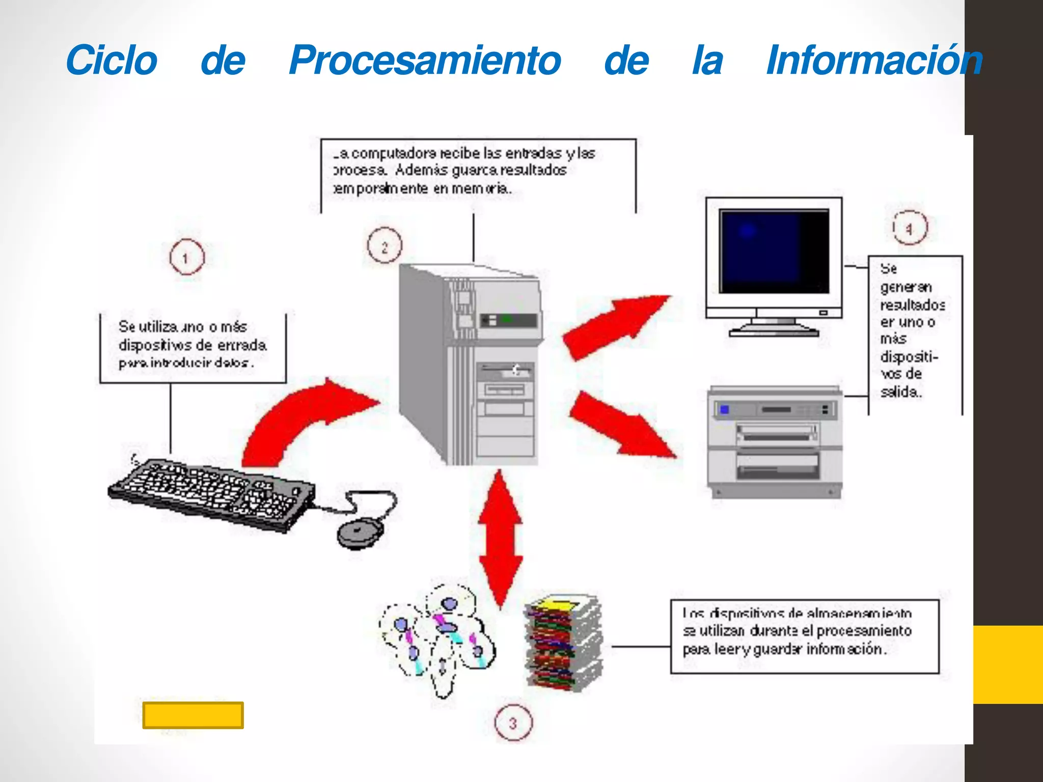 Ciclo de Procesamiento de la Información
 