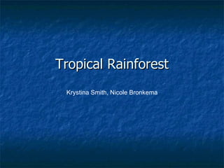 Tropical Rainforest   Krystina Smith, Nicole Bronkema  