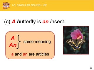 22
1-3 SINGULAR NOUNS + BE
(c) A butterfly is an insect.
A
An
same meaning
a and an are articles
 