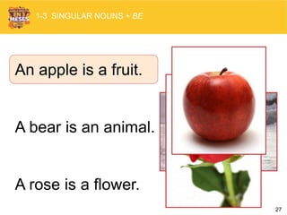 27
An apple is a fruit.
A bear is an animal.
A rose is a flower.
1-3 SINGULAR NOUNS + BE
 