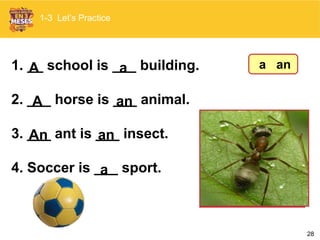 28
1. __ school is ___ building.
2. ___ horse is ___ animal.
3. ___ ant is ___ insect.
4. Soccer is ___ sport.
1-3 Let’s Practice
A a
anA
An an
a
a an
 