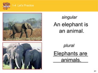 41
Elephants are
animals.
An elephant is
an animal.
singular
plural
1-4 Let’s Practice
 