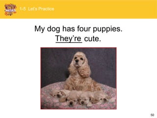50
My dog has four puppies.
______ cute.
1-5 Let’s Practice
They’re
 