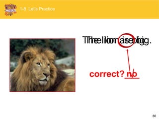 86
The lion is big.
correct?___
The lion are big.
no
1-8 Let’s Practice
 