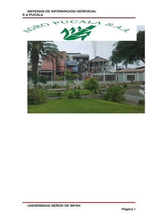 SISTEMAS DE INFORMACION GERENCIAL
E.A PUCALA




  UNIVERSIDAD SEÑOR DE SIPAN
                                       Página 9
 