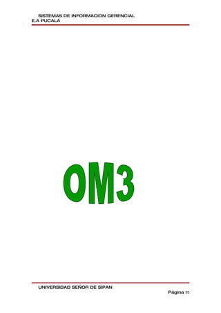 SISTEMAS DE INFORMACION GERENCIAL
E.A PUCALA




  UNIVERSIDAD SEÑOR DE SIPAN
                                       Página 95
 