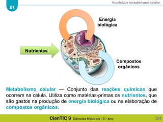 Nutrição e metabolismo celular
E1
CienTIC 9 Ciências Naturais - 9.o
ano
Metabolismo celular — Conjunto das reações químicas que
ocorrem na célula. Utiliza como matérias-primas os nutrientes, que
são gastos na produção de energia biológica ou na elaboração de
compostos orgânicos.
2/4
Nutrientes
Energia
biológica
Compostos
orgânicos
 