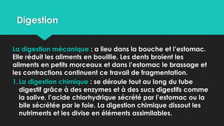 Digestion
La digestion mécanique : a lieu dans la bouche et l’estomac.
Elle réduit les aliments en bouillie. Les dents broient les
aliments en petits morceaux et dans l’estomac le brassage et
les contractions continuent ce travail de fragmentation.
1.La digestion chimique : se déroule tout au long du tube
digestif grâce à des enzymes et à des sucs digestifs comme
la salive, l’acide chlorhydrique sécrété par l’estomac ou la
bile sécrétée par le foie. La digestion chimique dissout les
nutriments et les divise en éléments assimilables.
 