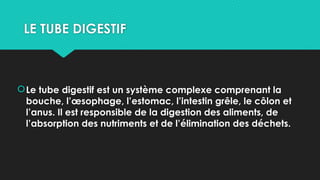 LE TUBE DIGESTIF
Le tube digestif est un système complexe comprenant la
bouche, l’œsophage, l’estomac, l’intestin grêle, le côlon et
l’anus. Il est responsible de la digestion des aliments, de
l’absorption des nutriments et de l’élimination des déchets.
 