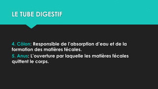 LE TUBE DIGESTIF
4. Côlon: Responsible de l’absorption d’eau et de la
formation des matières fécales.
5. Anus: L’ouverture par laquelle les matières fécales
quittent le corps.
 