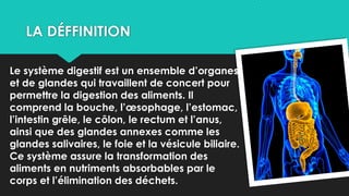 LA DÉFFINITION
Le système digestif est un ensemble d’organes
et de glandes qui travaillent de concert pour
permettre la digestion des aliments. Il
comprend la bouche, l’œsophage, l’estomac,
l’intestin grêle, le côlon, le rectum et l’anus,
ainsi que des glandes annexes comme les
glandes salivaires, le foie et la vésicule biliaire.
Ce système assure la transformation des
aliments en nutriments absorbables par le
corps et l’élimination des déchets.
 