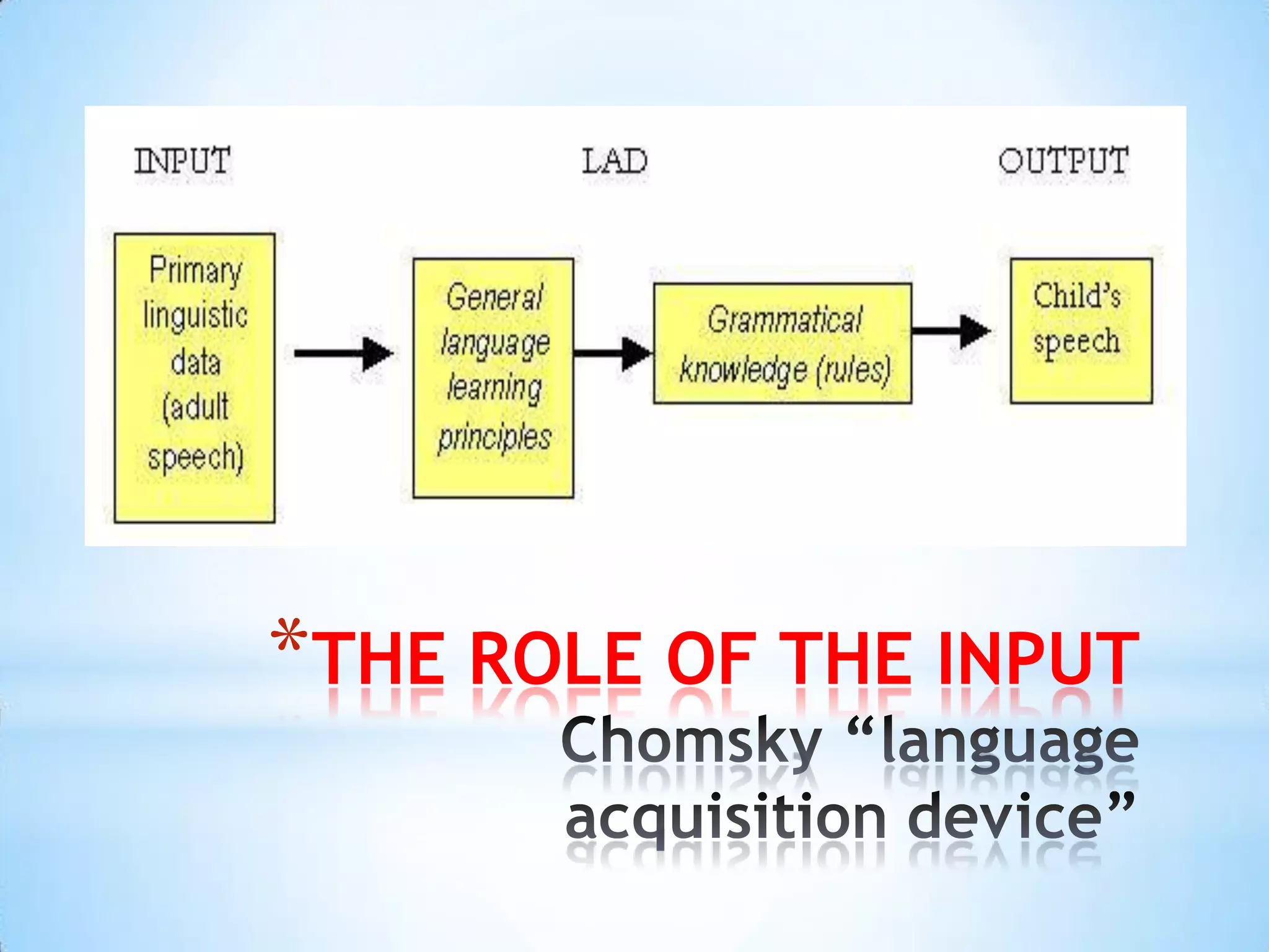 *THE ROLE OF THE INPUT
 