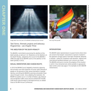 8 International Bar Association’s Human Rights Institute (IBAHRI)   2012 Annual Report
CHAPTERONE
Interventions
The IBAHRI makes representations to governments where there
are concerns that lawyers’ associations or persons involved in
the operation of legal systems have been threatened, detained
or abused – calling for compliance with domestic, regional and
international standards wherever such concerns are raised.
The IBAHRI continues to monitor the progress of the situation
in which it has intervened and, where possible or appropriate,
takes further action (see page 21 for examples of 2012 IBAHRI
interventions).
Task forces, thematic projects and advocacy
Programmes – see Chapter Three
The abolition of the death penalty
The IBAHRI is committed to promoting the abolition of the
death penalty, as laid out in its ‘Resolution on the Abolition on
the Death Penalty’, adopted by the Council of the IBAHRI in
2008 (see page 20 for IBAHRI’s work on the abolition of the
death penalty in 2012).
Sexual orientation and human rights
In 2010 the IBAHRI Council adopted a resolution opposing
discrimination and other breaches of human rights directed at
people on the grounds of their sexual orientation or gender
identity, committing the IBAHRI to promote and protect these
values through its work. Since adopting the resolution, the
IBAHRI has spoken out on a number of lesbian, gay, bisexual
and transgender (LGBT) issues and has worked with the IBA
LGBT Issues Subcommittee to hold legal seminars on related
issues at the IBA Annual Conferences.
Paris Gay Pride paradeImage taken from the cover of the IBAHRI combating torture manual
©OlgaBesnard/Shutterstock.com
 