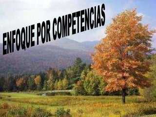 ENFOQUE POR COMPETENCIAS 