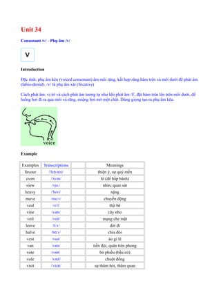 Unit 34
Consonant /v/ - Phụ âm /v/
Introduction
Đặc tính: phụ âm kêu (voiced consonant) âm môi răng, kết hợp răng hàm trên và môi dưới để phát âm
(labio-dental). /v/ là phụ âm xát (fricative)
Cách phát âm: vị trí và cách phát âm tương tự như khi phát âm /f/, đặt hàm trên lên trên môi dưới, để
luồng hơi đi ra qua môi và răng, miệng hơi mở một chút. Dùng giọng tạo ra phụ âm kêu.
Example
Examples Transcriptions Meanings
favour / fe və(r)/ˈ ɪ thiện ý, sự quý mến
oven / vən/ˈʌ lò (để hấp bánh)
view /vju /ː nhìn, quan sát
heavy / hevi/ˈ nặng
move /mu v/ː chuyển động
veal /vi l/ː thịt bê
vine /va n/ɪ cây nho
veil /ve l/ɪ mạng che mặt
leave /li v/ː dời đi
halve /h :v/ɑ chia đôi
vest /vest/ áo gi lê
van /væn/ tiền đội, quân tiên phong
vote /və t/ʊ bỏ phiếu (bầu cử)
vole /və l/ʊ chuột đồng
visit / v z t/ˈ ɪ ɪ sự thăm hỏi, thăm quan
 
