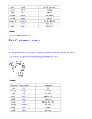 hinge /h nd /ɪ ʒ bản lề, khớp nối
pinch /p nt /ɪ ʃ cái kẹp
end /end/ kết thúc
sound /sa nd/ʊ âm thanh
friend /frend/ bạn bè
landlord / lændl d/ˈ ɔː chủ đất, địa chủ
cone /kə n/ʊ hình nón
mane /me n/ɪ bờm sư tử
Identify:
Chỉ có "n" được phát âm là /n/
Unit 42: Consonant /ŋ/ - Phụ âm /ŋ/
Đặc tính: phụ âm kêu (voiced consonant), âm được tạo ra ở vòm mềm (back-velar), âm mũi (nasal)
Cách phát âm: miệng hơi mở một chút, tương tự như khi phát âm /n/
Example
Examples Transcriptions Meanings
sing /s ŋ/ɪ hát
monkey / m ŋki/ˈ ʌ con khỉ
ring /r ŋ/ɪ cái nhẫn
anger / æŋgə(r/ˈ sự giận giữ
thank /θæŋk/ cám ơn
length /leŋθ/ bề dài, chiều dài
instinct / nst ŋkt/ˈɪ ɪ bản năng
thing /θ ŋ/ɪ đồ vật
think /θ ŋk/ɪ suy nghĩ
 