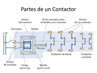 Partes de un Contactor 
 