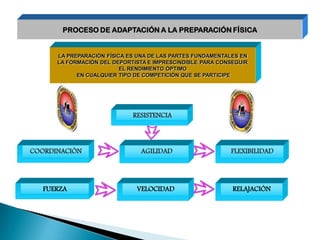 PROCESO DE ADAPTACIÓN A LA PREPARACIÓN FÍSICA


      LA PREPARACIÓN FÍSICA ES UNA DE LAS PARTES FUNDAMENTALES EN
      LA FORMACIÓN DEL DEPORTISTA E IMPRESCINDIBLE PARA CONSEGUIR
                          EL RENDIMIENTO ÓPTIMO
            EN CUALQUIER TIPO DE COMPETICIÓN QUE SE PARTICIPE




                             RESISTENCIA




COORDINACIÓN                   AGILIDAD                    FLEXIBILIDAD




   FUERZA                     VELOCIDAD                     RELAJACIÓN
 