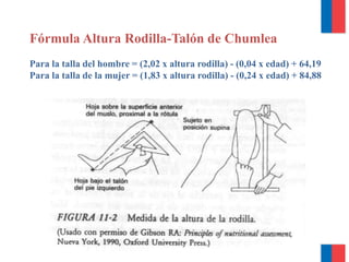 Fórmula Altura Rodilla-Talón de Chumlea
Para la talla del hombre = (2,02 x altura rodilla) - (0,04 x edad) + 64,19
Para la talla de la mujer = (1,83 x altura rodilla) - (0,24 x edad) + 84,88
 