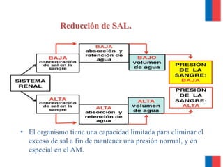 • humano tiene una capacidad
limitada para botar el
• exceso de sal para mantener una
presión normal de la sangre,
• El organismo tiene una capacidad limitada para eliminar el
exceso de sal a fin de mantener una presión normal, y en
especial en el AM.
Reducción de SAL.
 